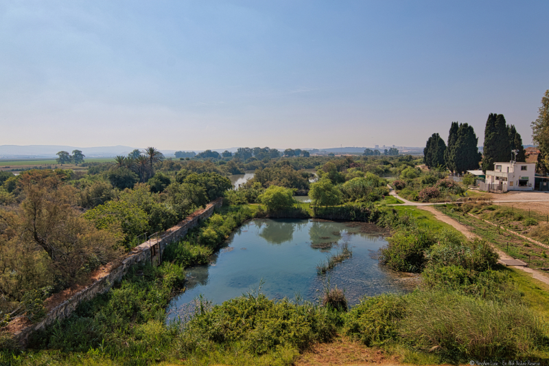 05-Ein-Afek-Nature-Reserve