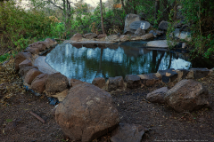 03-Eyn-Shoko-Shmorat-Ahao-Nov-Hippos-30-12-2023