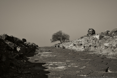 04-Eyn-Shoko-Shmorat-Ahao-Nov-Hippos-30-12-2023