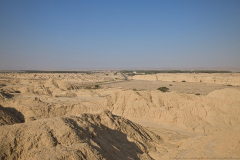 01-Hoad-Body-Choen-Desert-Pancratium-Trail-Landscape