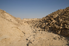 03-Hoad-Body-Choen-Desert-Pancratium-Trail-Landscape