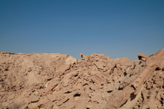 04-Hoad-Body-Choen-Desert-Pancratium-Trail-Landscape