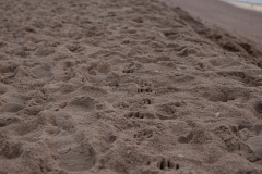 Landscape-4