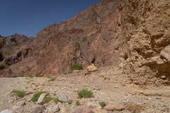 Landscape-6