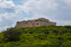 03-Migdal-Tsedek-National-Park-March-2022