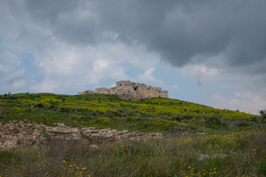 05-Migdal-Tsedek-National-Park-March-2022