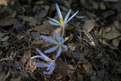 02-Mount-Meron-Oct-14th-2025