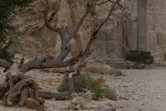 01-Nachal-Zohar