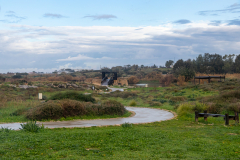 01-Nahal-Taninim-24-01-2025