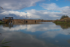 06-Nahal-Taninim-24-01-2025