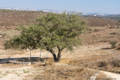 08-Photographic-Eye-Tel-Lachish-DL-ML