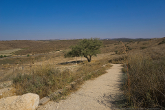 14-Photographic-Eye-Tel-Lachish-ML-DL