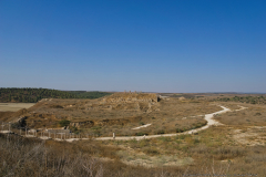 15-Photographic-Eye-Tel-Lachish-ML-DL