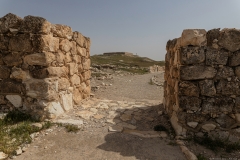 04-Tel-Arad