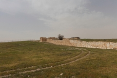 07-Tel-Arad