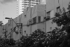 06-Tel-Aviv-Cityscape-Old-North