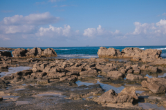 08-Tel-Dor-National-Park-October-7th-War