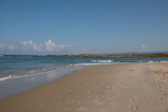10-Tel-Dor-National-Park-October-7th-War