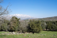 04-Tel-Qutza