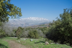 05-Tel-Qutza