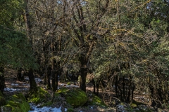 13-Tel-Qutza